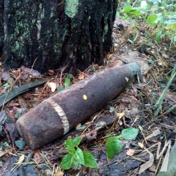 ������� ������ ��������� � ����������� ������