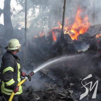 ������� ������ ���� � ��� ���� �����