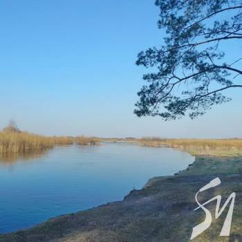 г��� ���� �� ����� �� ����� ������ �� 19 �������