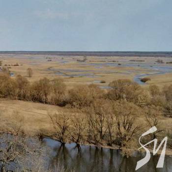 г��� ���� �� ���� ����������� 20 �������