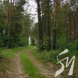 ��������, 21 �������, � ���� ���