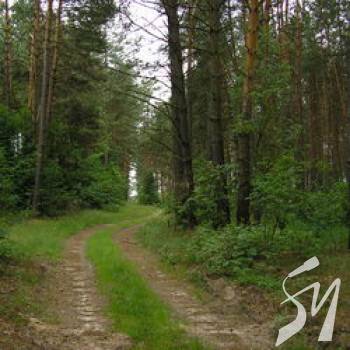 ��������, 21 �������, � ���� ���