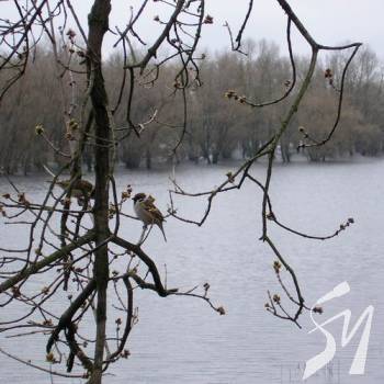 ������ � ����� ����������� �� ����� �� �� ����