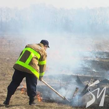 � �������� �������� 135 ������� �����������