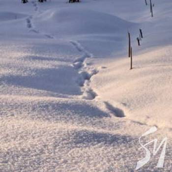 ��� ������� ��� ��������� ����������. � �����