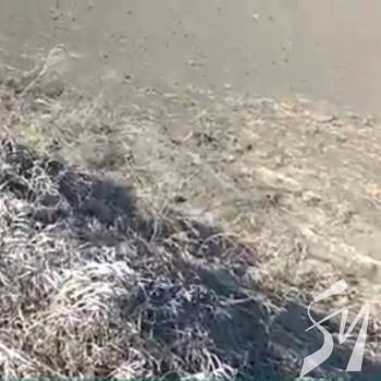 ������� �������� ������ ��������� �������� ���� �� �����