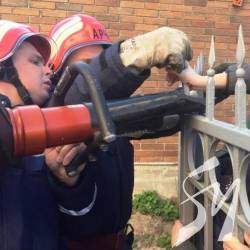 ������� ����������� ���� ������ ������� � �����