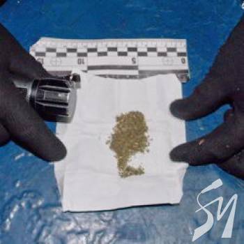 ���� ���� ������ �� ³������ ����� ��������, ���������