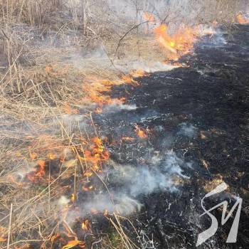 140 ������� ����������� ����������� ��볿 8 �����