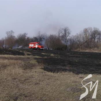 ���� ��� ���� ���� �������� ��볿 9 �����?