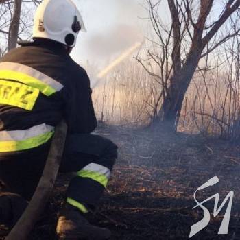 ��� ������, � �� �������: ������� ��� ������������� ����� ��������