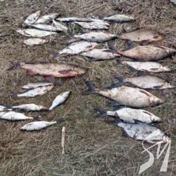 �� ����� ������������� ������� ����������