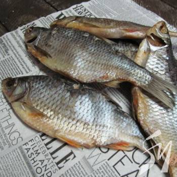 �������� ������� ��������� 42-�������