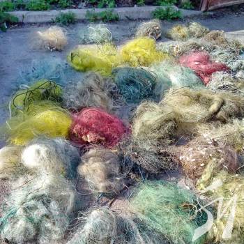 ѳ��� ������� ����: �������, ����, ��!���� � � �� �������� ��������� � ����������