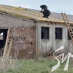 ������� ��������� �������� ������������ ���������� �����