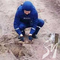 ����� ����������� 2 ������ ���������� ����������