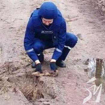 ����� ����������� 2 ������ ���������� ����������