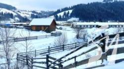 � ������ �������� ����