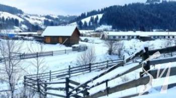 � ������ �������� ����