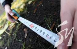 �������� �� �������� �������� ���������� �������� ������ 11,4 �������