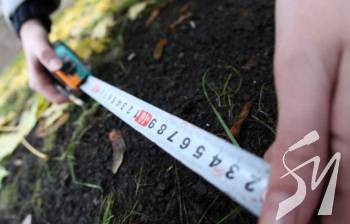 �������� �� �������� �������� ���������� �������� ������ 11,4 �������