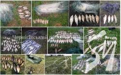 ������������ ������������� ������� �� ������� ������� 119 �� ��������� ������ ����