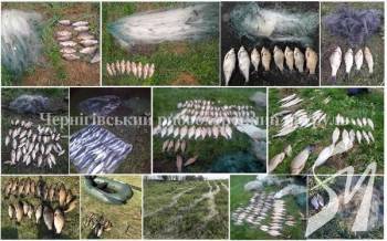 ������������ ������������� ������� �� ������� ������� 119 �� ��������� ������ ����