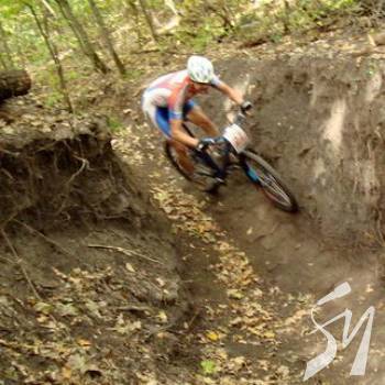 ����������� ����������� � ������� �� ��������� ��������� ������ � ������������