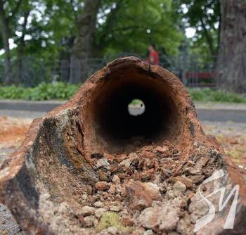 ³���������� ��� ������: � �������� �������� ���� �����