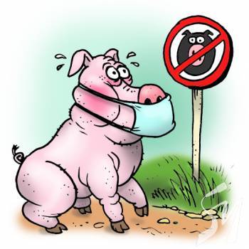 ���� �� ����� � ������������