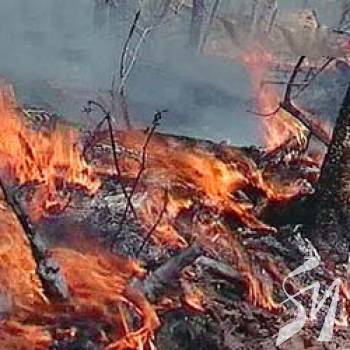 � ���� ����������� ������ ������� ��������� � ������� ��� ������