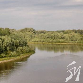 � ����� ���� ��������� ������ 33-������� ������������