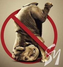 � ���� �������: � �������� ���������� ������� ����� � ���������