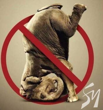 � ���� �������: � �������� ���������� ������� ����� � ���������