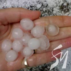 ������� ���� � ���� ��������� ������ 31 ������