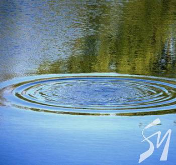 ĳ����� � ������ �������