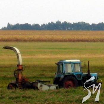 ����� 50 �� ����������� ��������� � ���������� ���������