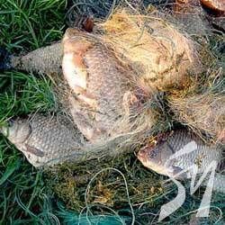 ���� � ��������� ������� ������������� � ������������ ����