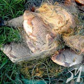 ���� � ��������� ������� ������������� � ������������ ����