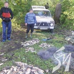 ��� ������ ���������� �������� �����