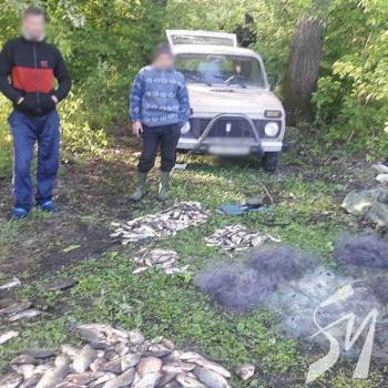 ��� ������ ���������� �������� �����