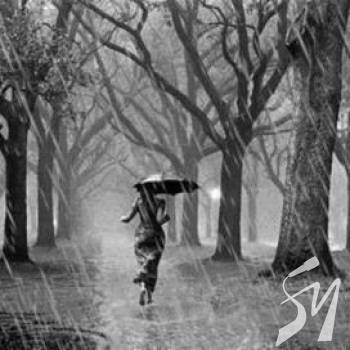 � ����� ��������� ��������� �������� ����⳺� ������