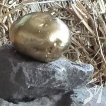 ��� ������ ������� ��� ��� �������� �� ������� ����