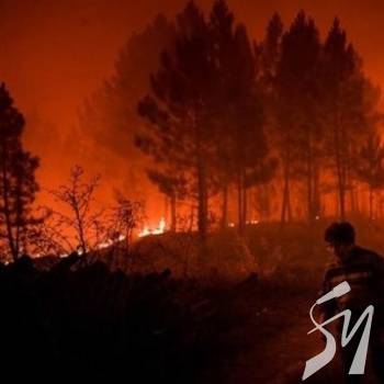 � �������볿 ������� �����: ������� ������������