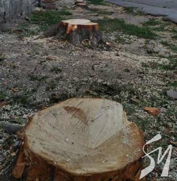 � �������� ������ ������ �����. �� ���?