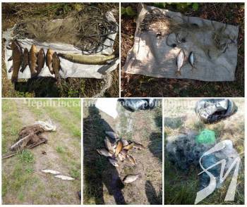 ������������ ������������� ������� �� ������� ������� 82 �� ����