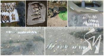 �������� ����� � ���������� �������� ����� 50 �� ���� �� 25 ������� ����