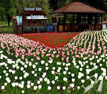 ���� � ���� ������� ������?