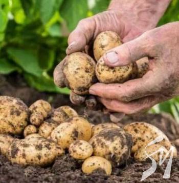 ���� ���� ����������� �������� � ��� ������� �����������?