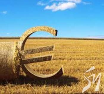 ��������� ��� ����� ����: ����� �������� ������